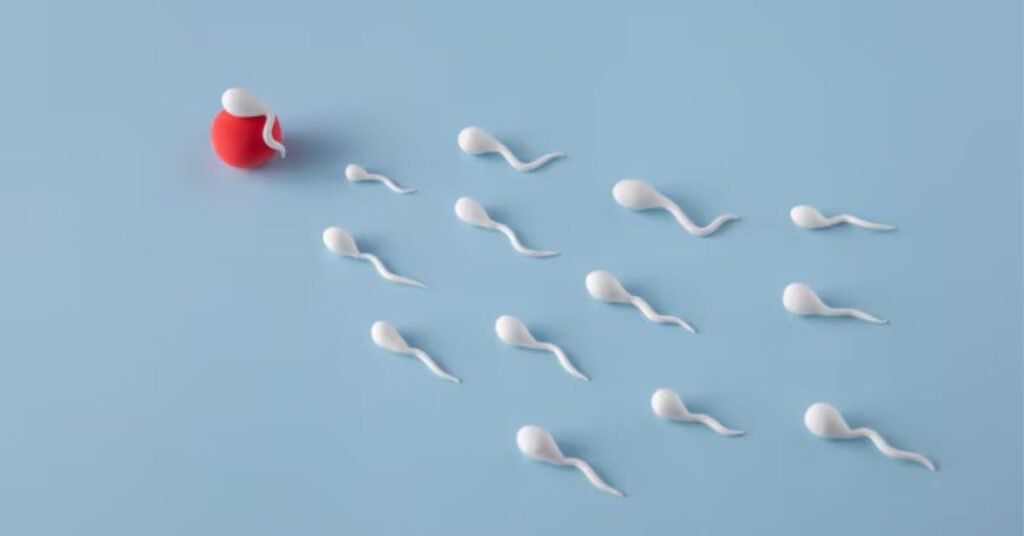 How to Choose the Right Sperm Donor | A Step-by-Step Guide