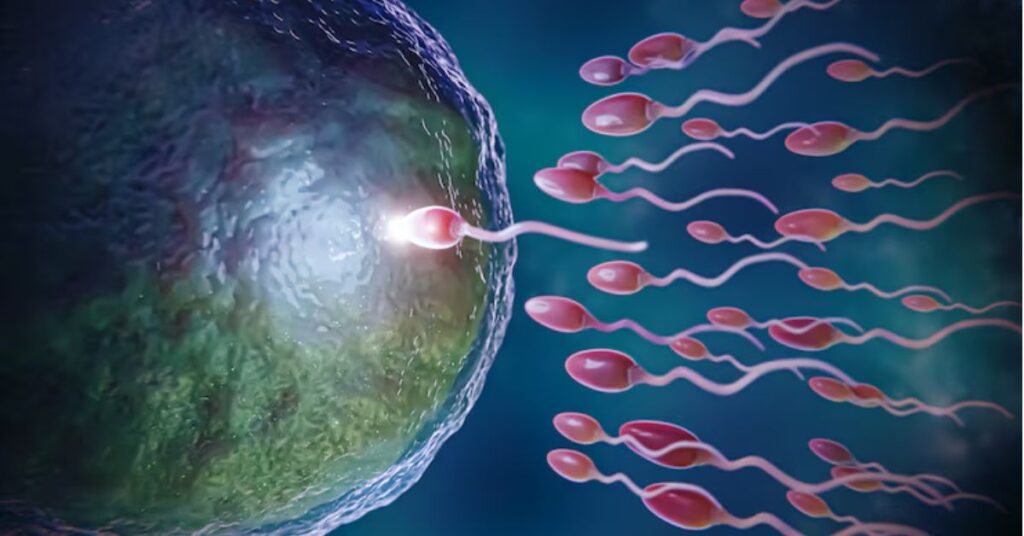The Emotional Journey Behind Every Fertility Success Story 